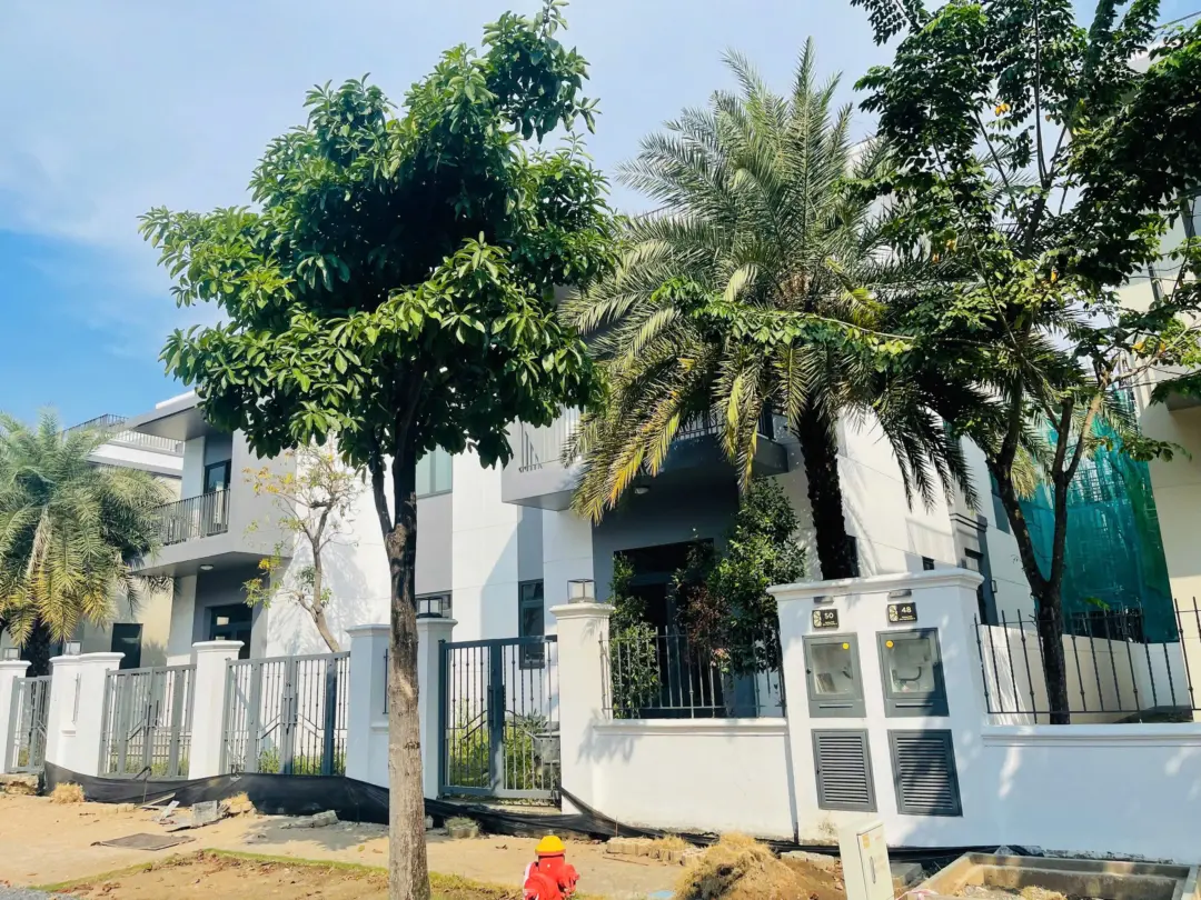 Biệt Thự Song Lập 10x20m View công viên