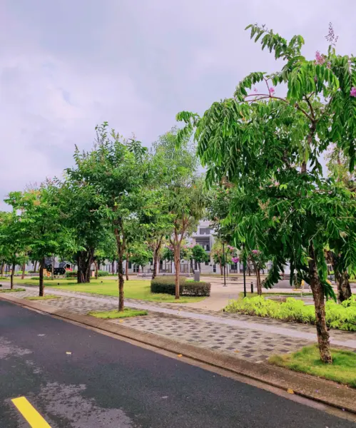 Biệt Thự Song Lập 10x20m View công viên